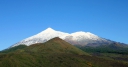 IMG_4216_d.jpg